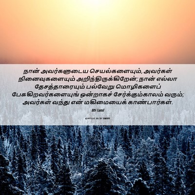 Picture 06 - ஏசாயா 66:18 TAMIRV - நான் அவர்களுடைய - Bible Verse Picture
