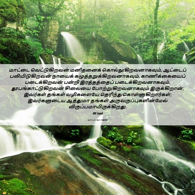 Picture 06 - ஏசாயா 66:3 TAMIRV - மாட்டை - Bible Verse Picture