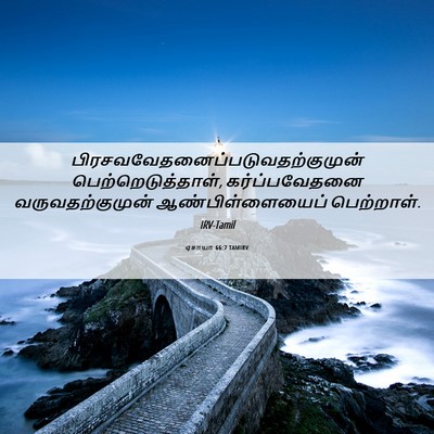 Picture 06 - ஏசாயா 66:7 TAMIRV -  - Bible Verse Picture