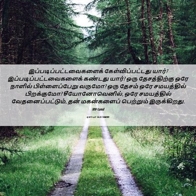 Picture 06 - ஏசாயா 66:8 TAMIRV -  - Bible Verse Picture