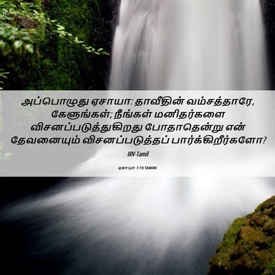 Picture 06 - ஏசாயா 7:13 TAMIRV - அப்பொழுது ஏசாயா: - Bible Verse Picture