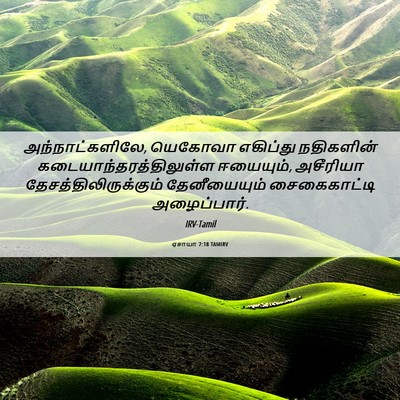 Picture 06 - ஏசாயா 7:18 TAMIRV - அந்நாட்களிலே, - Bible Verse Picture