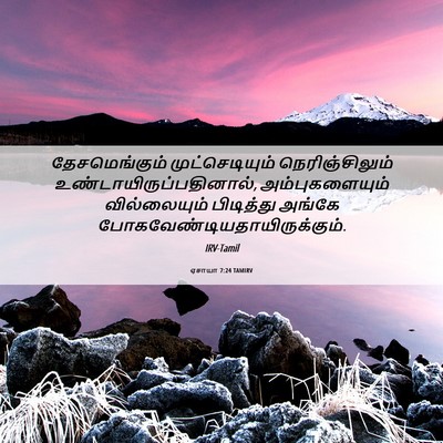 Picture 06 - ஏசாயா 7:24 TAMIRV - தேசமெங்கும் - Bible Verse Picture