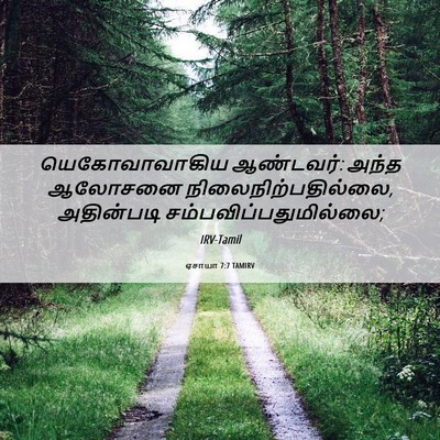 Picture 06 - ஏசாயா 7:7 TAMIRV - யெகோவாவாகிய - Bible Verse Picture