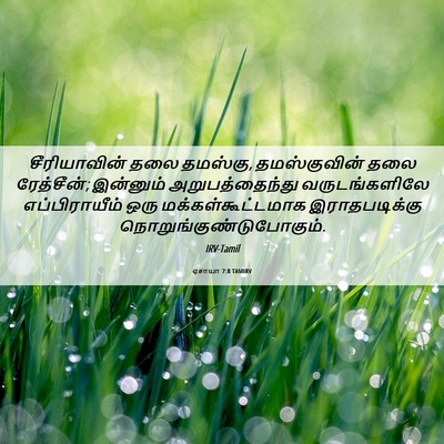 Picture 06 - ஏசாயா 7:8 TAMIRV - சீரியாவின் தலை - Bible Verse Picture