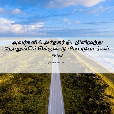 Picture 06 - ஏசாயா 8:15 TAMIRV - அவர்களில் அநேகர் - Bible Verse Picture