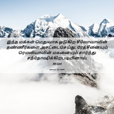Picture 06 - ஏசாயா 8:6 TAMIRV - இந்த மக்கள் - Bible Verse Picture