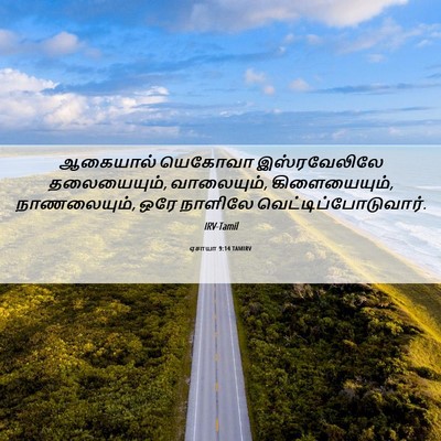Picture 06 - ஏசாயா 9:14 TAMIRV - ஆகையால் யெகோவா - Bible Verse Picture