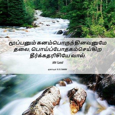 Picture 06 - ஏசாயா 9:15 TAMIRV - மூப்பனும் - Bible Verse Picture