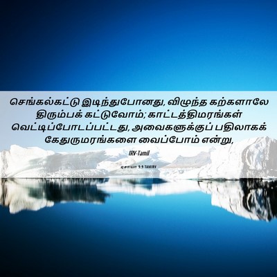 Picture 06 - ஏசாயா 9:9 TAMIRV - செங்கல்கட்டு - Bible Verse Picture