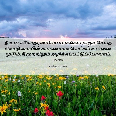 Picture 06 - ஒபதியா 1:10 TAMIRV - நீ உன் சகோதரனாகிய - Bible Verse Picture