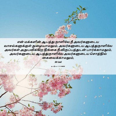 Picture 06 - ஒபதியா 1:13 TAMIRV - என் மக்களின் - Bible Verse Picture