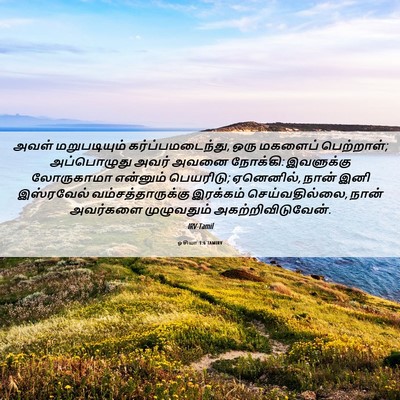 Picture 06 - ஓசியா 1:6 TAMIRV - அவள் மறுபடியும் - Bible Verse Picture