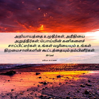 Picture 06 - ஓசியா 10:13 TAMIRV - அநியாயத்தை - Bible Verse Picture