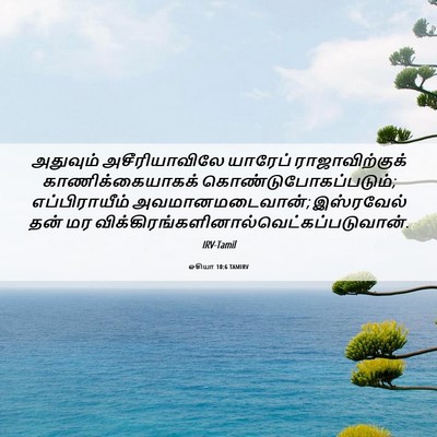 Picture 06 - ஓசியா 10:6 TAMIRV - அதுவும் - Bible Verse Picture