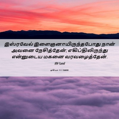 Picture 06 - ஓசியா 11:1 TAMIRV - இஸ்ரவேல் - Bible Verse Picture