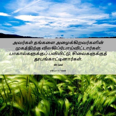 Picture 06 - ஓசியா 11:2 TAMIRV - அவர்கள் தங்களை - Bible Verse Picture