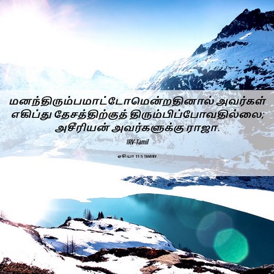 Picture 06 - ஓசியா 11:5 TAMIRV -  - Bible Verse Picture