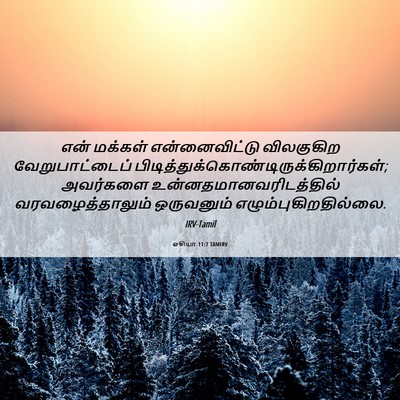 Picture 06 - ஓசியா 11:7 TAMIRV - என் மக்கள் - Bible Verse Picture