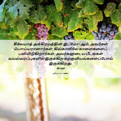Picture 06 - ஓசியா 12:11 TAMIRV - கீலேயாத் - Bible Verse Picture