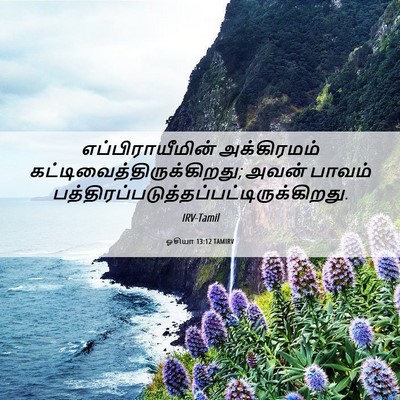 Picture 06 - ஓசியா 13:12 TAMIRV - எப்பிராயீமின் - Bible Verse Picture