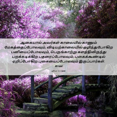 Picture 06 - ஓசியா 13:3 TAMIRV - ஆகையால் அவர்கள் - Bible Verse Picture
