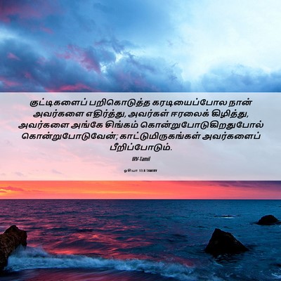 Picture 06 - ஓசியா 13:8 TAMIRV - குட்டிகளைப் - Bible Verse Picture