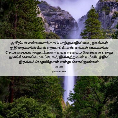 Picture 06 - ஓசியா 14:3 TAMIRV - அசீரியா எங்களைக் - Bible Verse Picture