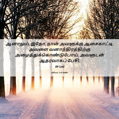 Picture 06 - ஓசியா 2:14 TAMIRV - ஆனாலும், இதோ, நான் - Bible Verse Picture