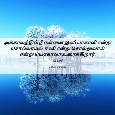 Picture 06 - ஓசியா 2:16 TAMIRV - அக்காலத்தில் நீ - Bible Verse Picture