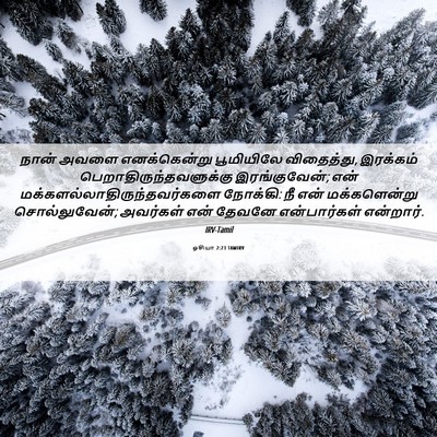 Picture 06 - ஓசியா 2:23 TAMIRV - நான் அவளை - Bible Verse Picture