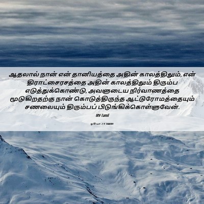 Picture 06 - ஓசியா 2:9 TAMIRV - ஆதலால் நான் என் - Bible Verse Picture