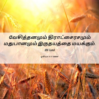 Picture 06 - ஓசியா 4:11 TAMIRV - வேசித்தனமும் - Bible Verse Picture