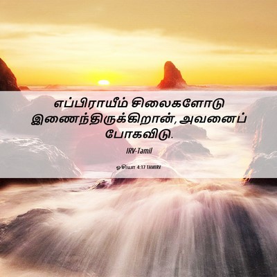 Picture 06 - ஓசியா 4:17 TAMIRV - எப்பிராயீம் - Bible Verse Picture