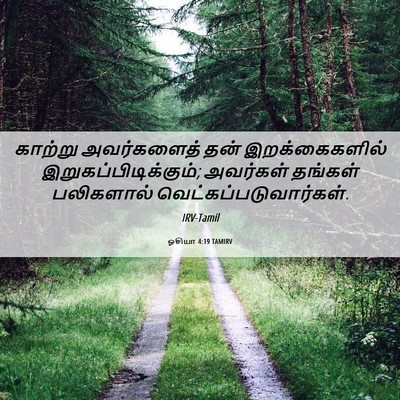 Picture 06 - ஓசியா 4:19 TAMIRV - காற்று அவர்களைத் - Bible Verse Picture