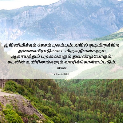 Picture 06 - ஓசியா 4:3 TAMIRV - இதினிமித்தம் - Bible Verse Picture
