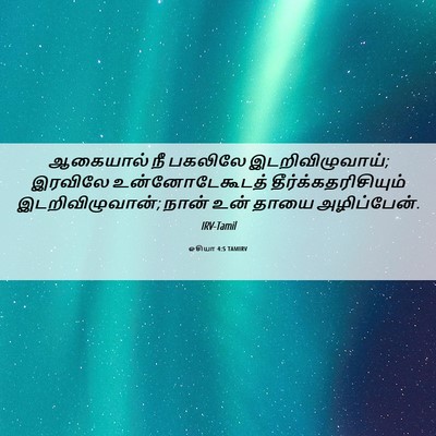 Picture 06 - ஓசியா 4:5 TAMIRV - ஆகையால் நீ பகலிலே - Bible Verse Picture