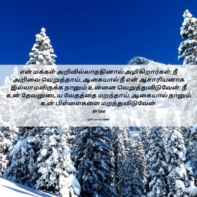 Picture 06 - ஓசியா 4:6 TAMIRV - என் மக்கள் - Bible Verse Picture