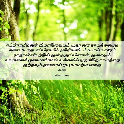 Picture 06 - ஓசியா 5:13 TAMIRV - எப்பிராயீம் தன் - Bible Verse Picture