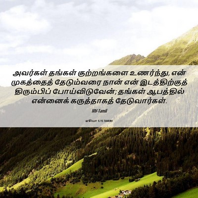 Picture 06 - ஓசியா 5:15 TAMIRV - அவர்கள் தங்கள் - Bible Verse Picture