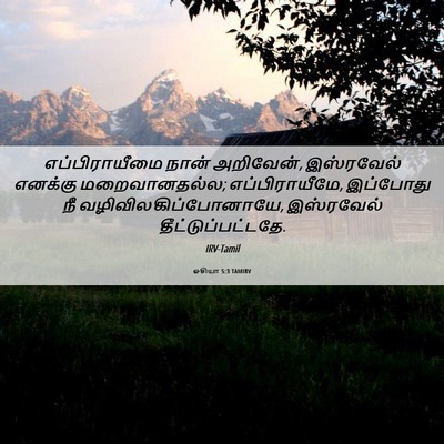 Picture 06 - ஓசியா 5:3 TAMIRV - எப்பிராயீமை நான் - Bible Verse Picture