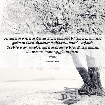 Picture 06 - ஓசியா 5:4 TAMIRV - அவர்கள் தங்கள் - Bible Verse Picture