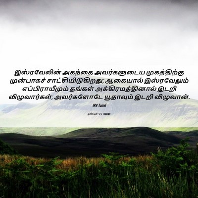 Picture 06 - ஓசியா 5:5 TAMIRV - இஸ்ரவேலின் அகந்தை - Bible Verse Picture
