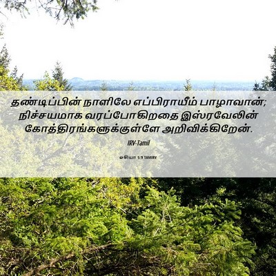 Picture 06 - ஓசியா 5:9 TAMIRV - தண்டிப்பின் - Bible Verse Picture