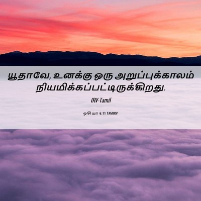Picture 06 - ஓசியா 6:11 TAMIRV - யூதாவே, உனக்கு ஒரு - Bible Verse Picture