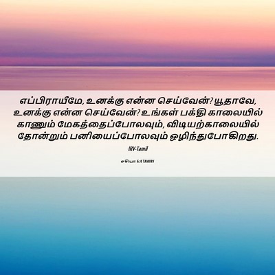Picture 06 - ஓசியா 6:4 TAMIRV - எப்பிராயீமே, - Bible Verse Picture