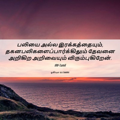 Picture 06 - ஓசியா 6:6 TAMIRV - பலியை அல்ல - Bible Verse Picture
