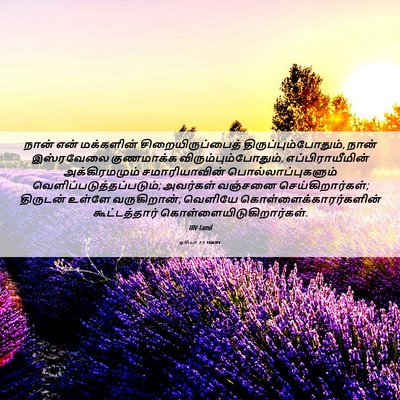 Picture 06 - ஓசியா 7:1 TAMIRV - நான் என் மக்களின் - Bible Verse Picture