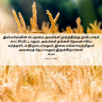 Picture 06 - ஓசியா 7:10 TAMIRV - இஸ்ரவேலின் பெருமை - Bible Verse Picture