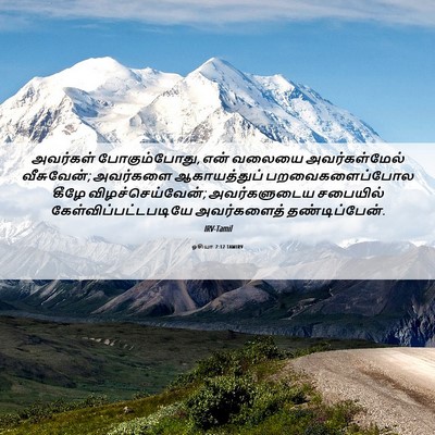 Picture 06 - ஓசியா 7:12 TAMIRV - அவர்கள் - Bible Verse Picture